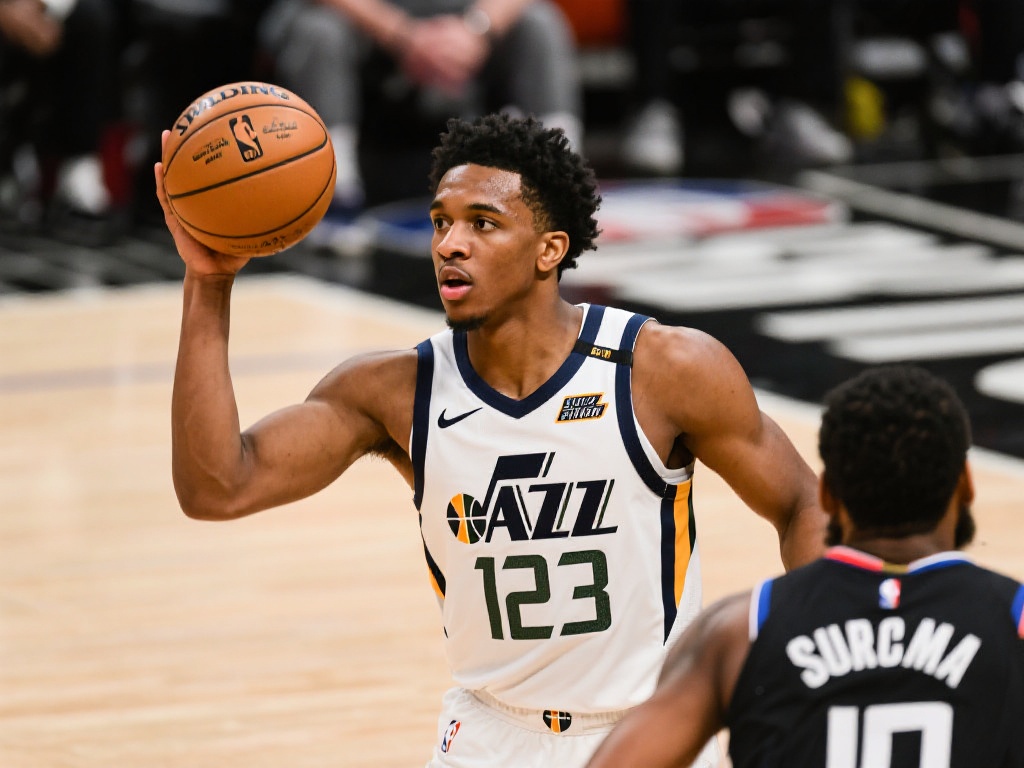 为用户提供 为用户提供