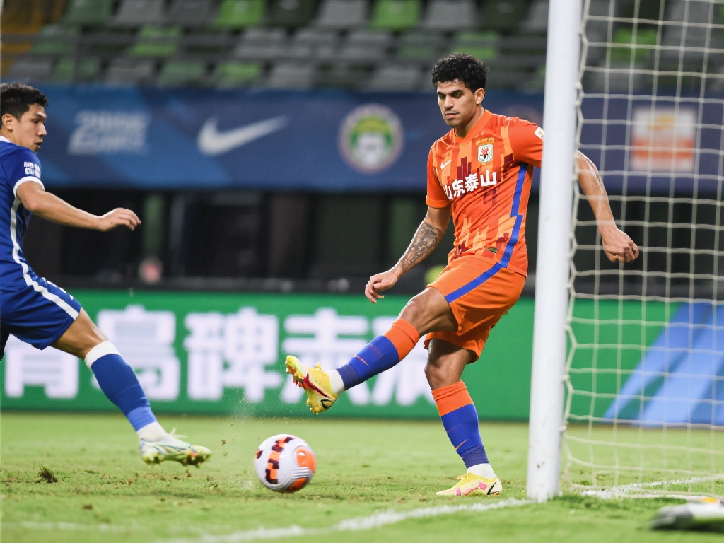 外进攻的价 外进攻的价