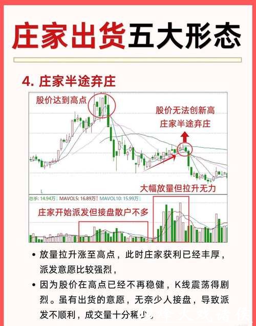 世界杯下注:赔率背后的深层逻辑解析 世界杯下注:赔率背后的深层逻辑解析